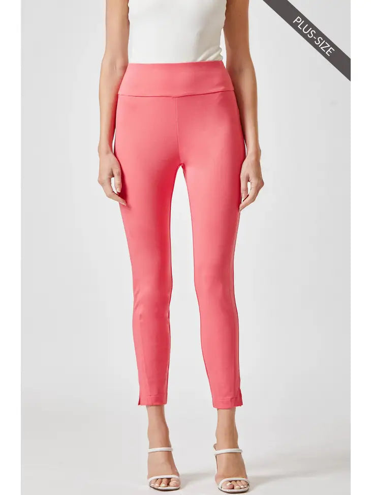 Plus Size  High Waisted Skinny Pants